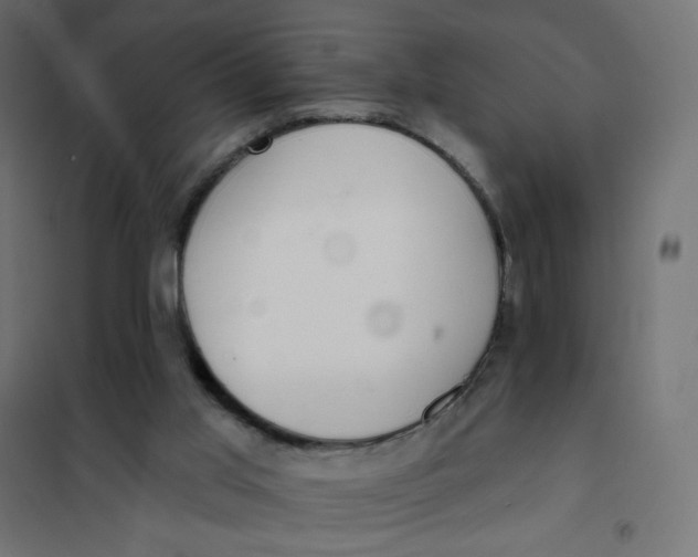 X0000102020013200808081759