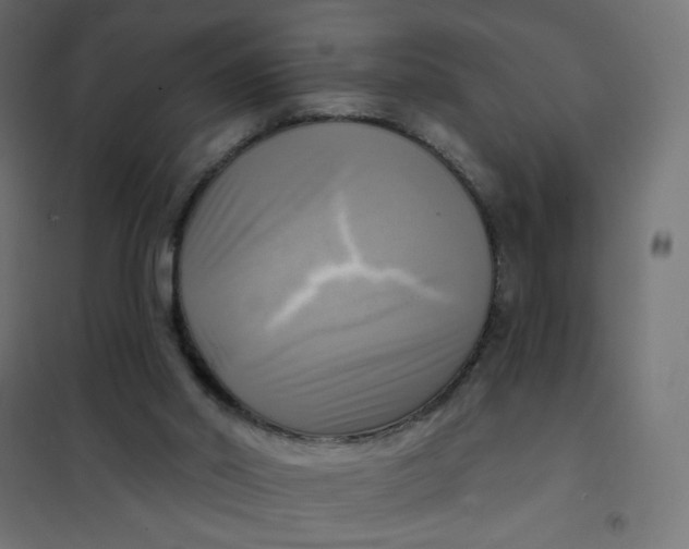 X0000102020014200808081759