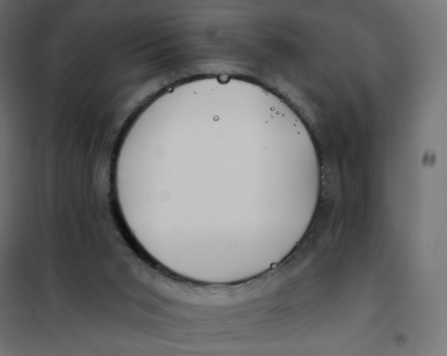 X0000102020015200808081759