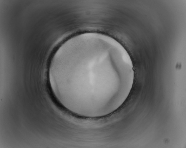 X0000102020016200808081759