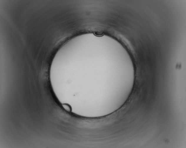 X0000102020017200808081759