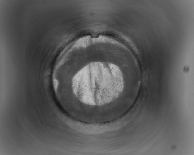 X0000102020018200808081759