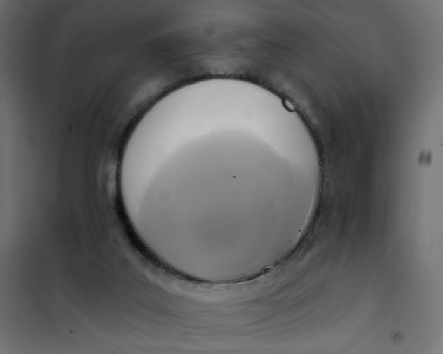 X0000102020019200808081759