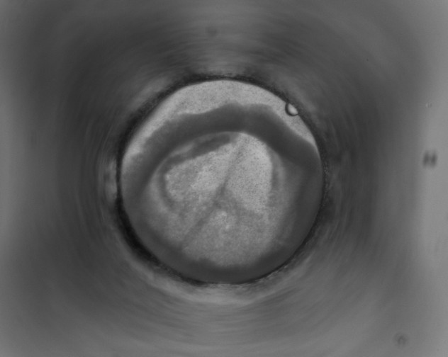 X0000102020020200808081759