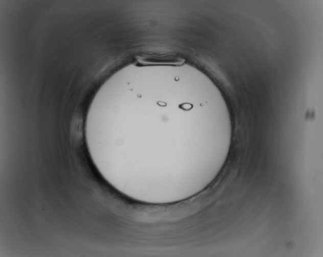 X0000102020021200808081759