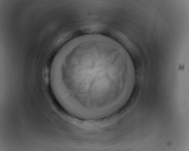 X0000102020022200808081759