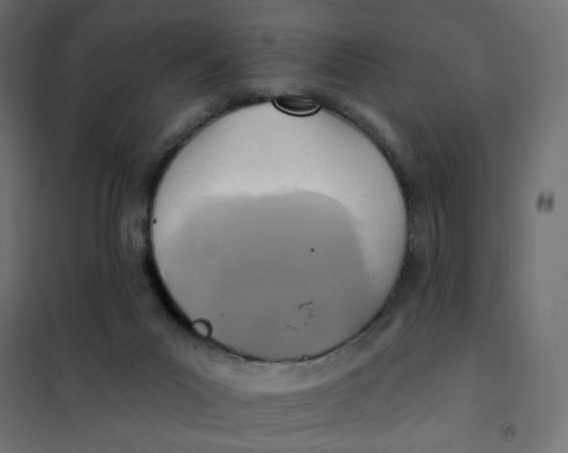 X0000102020023200808081759