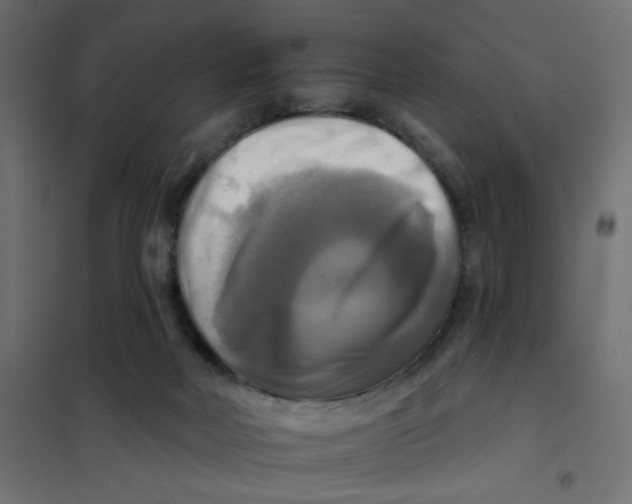 X0000102020026200808081759