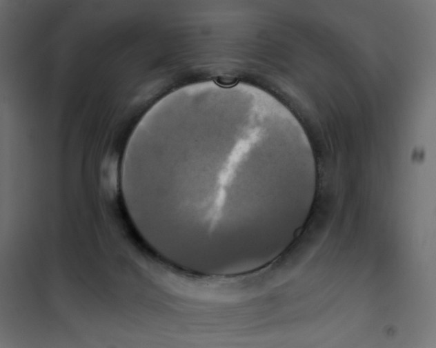 X0000102020028200808081759