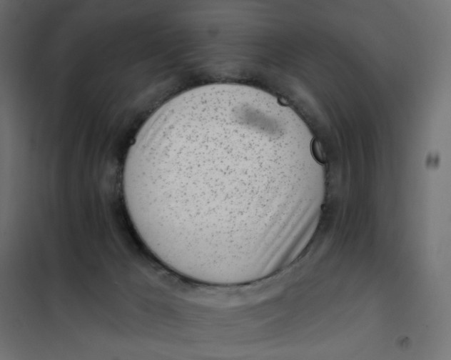 X0000102020029200808081759