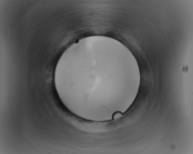 X0000102020032200808081759
