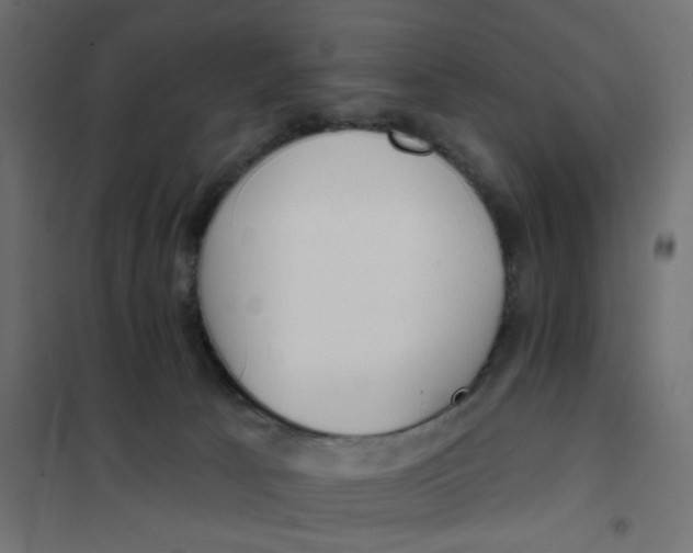 X0000102020033200808081759