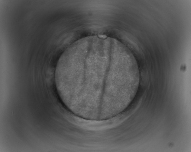 X0000102020034200808081759