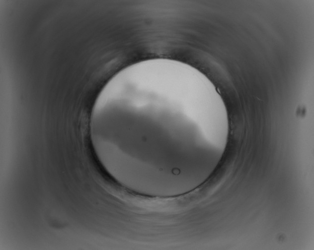 X0000102020036200808081759