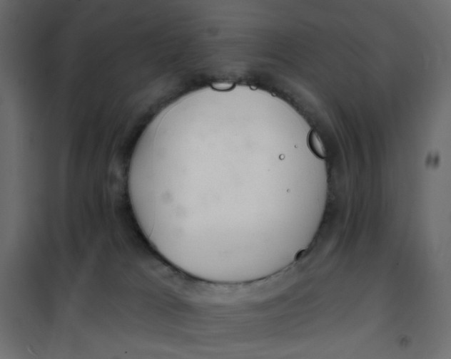 X0000102020037200808081759