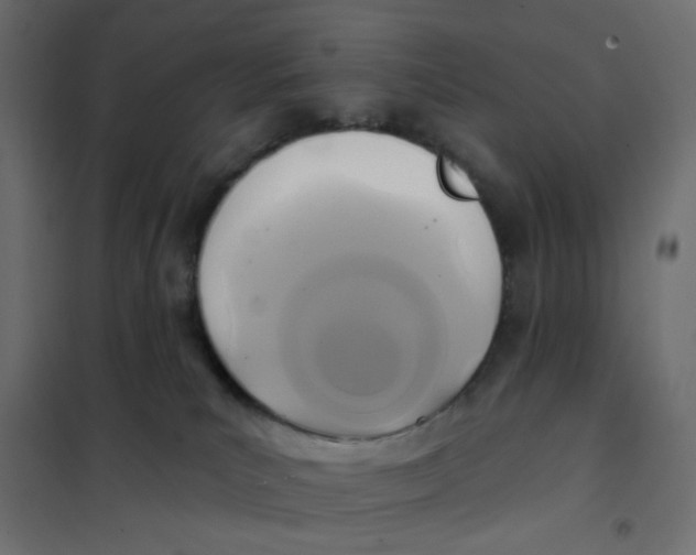 X0000102020039200808081759