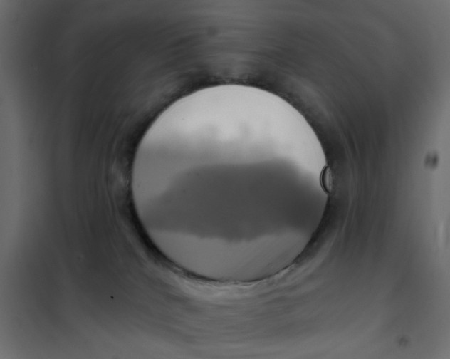 X0000102020040200808081759