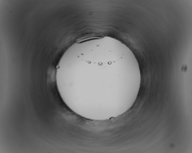 X0000102020041200808081759