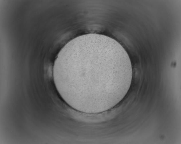 X0000102020042200808081759