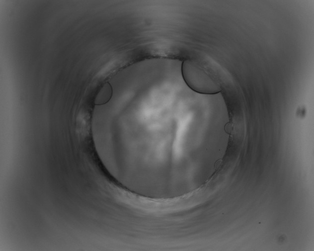 X0000102020043200808081759