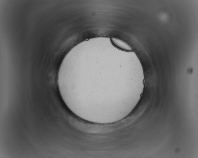 X0000102020044200808081759
