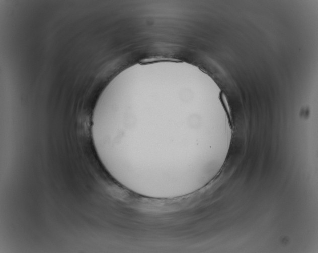 X0000102020045200808081759