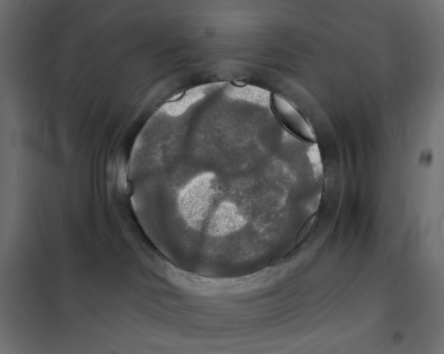X0000102020046200808081759