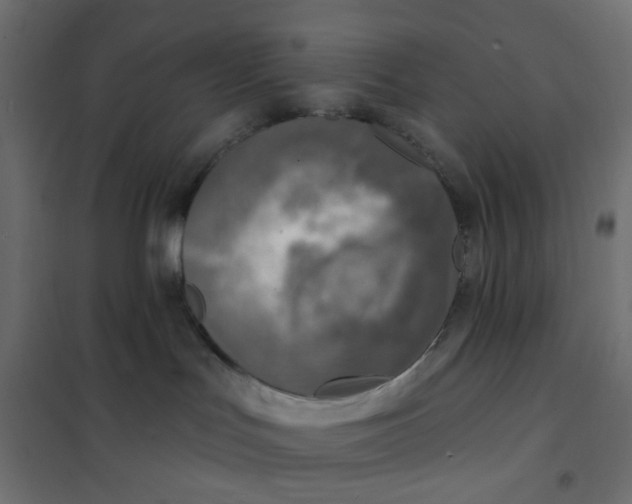 X0000102020047200808081759