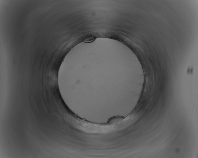 X0000102020048200808081759