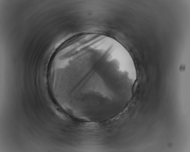 X0000102020050200808081758