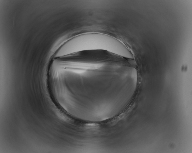 X0000102020053200808081758