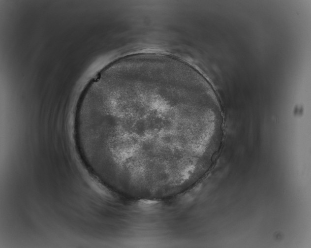 X0000102020055200808081758