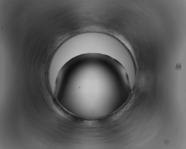 X0000102020057200808081758