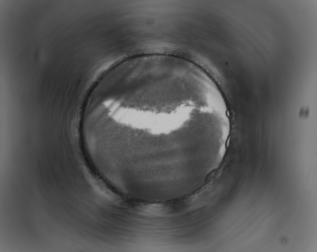 X0000102020058200808081758