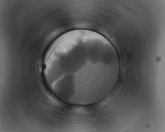 X0000102020062200808081758