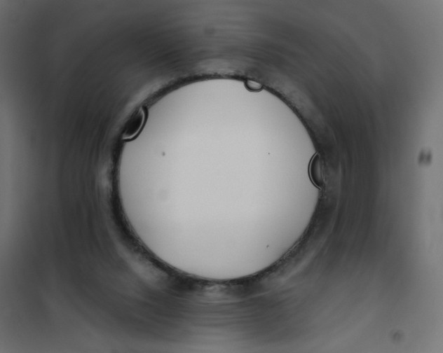 X0000102020064200808081758