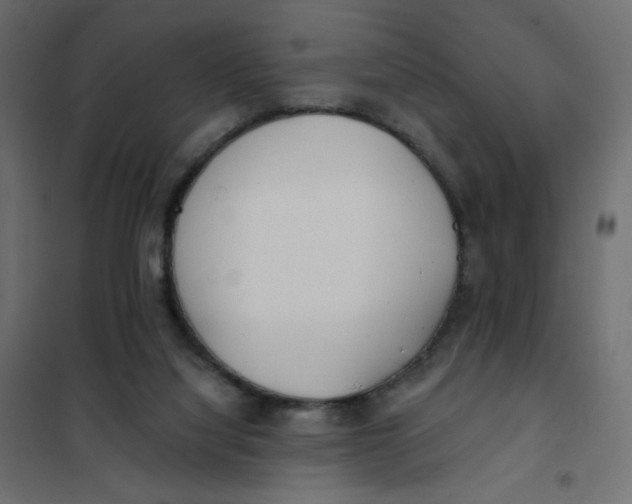 X0000102020068200808081758
