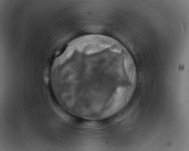 X0000102020069200808081758