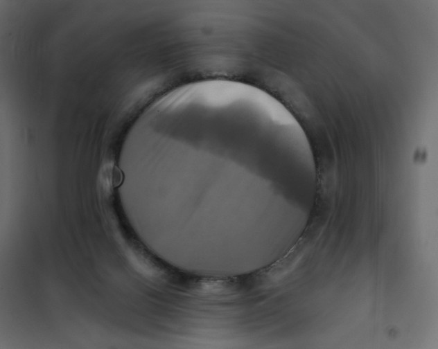 X0000102020070200808081758