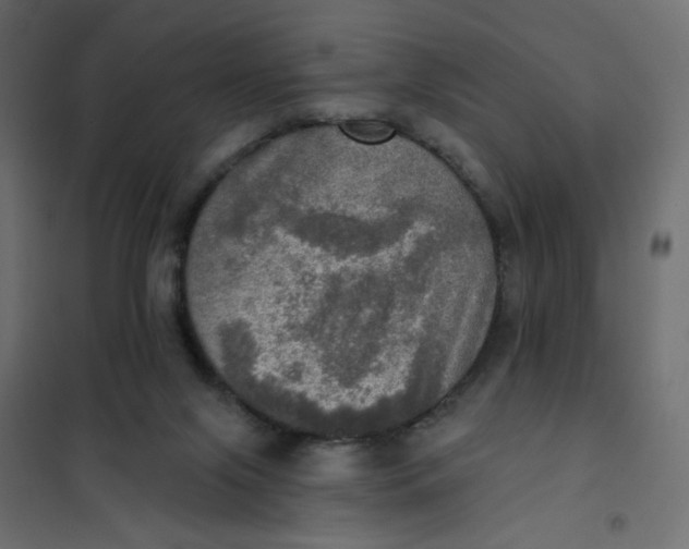 X0000102020071200808081758