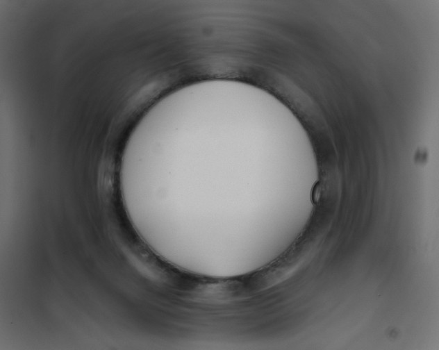 X0000102020072200808081758