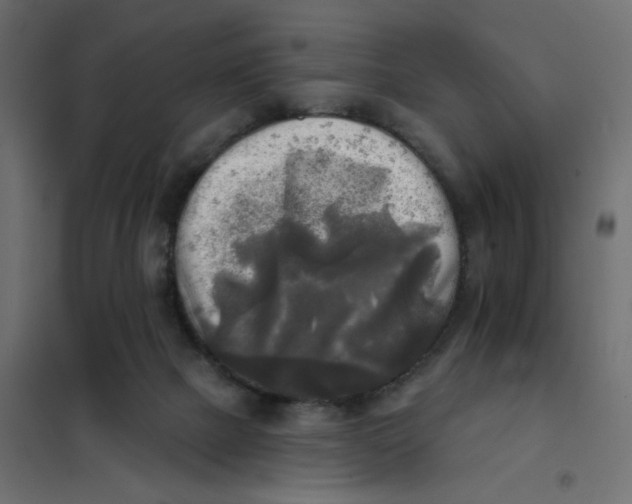 X0000102020073200808081758