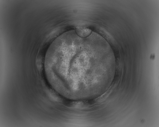 X0000102020074200808081758