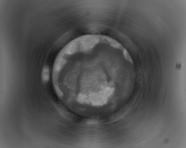 X0000102020075200808081758