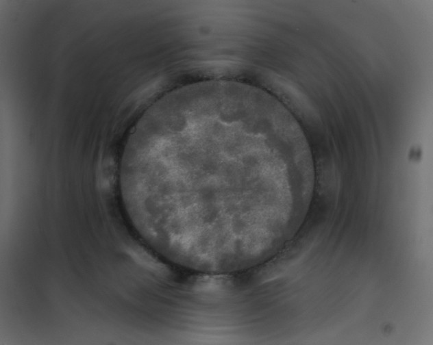 X0000102020077200808081758