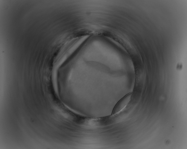 X0000102020078200808081758