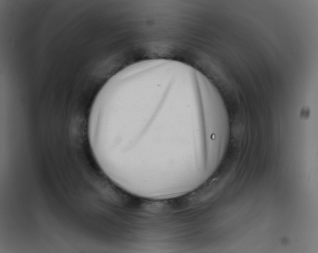 X0000102020079200808081758