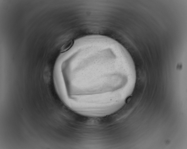 X0000102020080200808081758