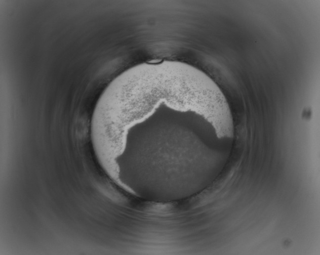X0000102020081200808081758
