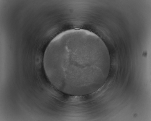 X0000102020082200808081758